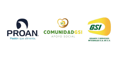 PROAN — Comunidad GSI Apoyo Social